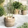 Natur Rattankorb GINI Natural Grey ca.46x36cm Pflanzkorb Produktbild-Vorschau 3
