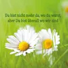 Grabkerze Rot 3er Pack, Brenndauer: 170 Stunden ( je Kerze Produktbild-Vorschau 2