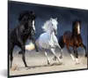 MuchoWow® Gerahmtes Poster Pferde - Tiere - Sand 80x60 cm - Produktbild-Vorschau 1