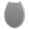 A top-down view of a closed silver toilet seat on a white background. Produktbild-Vorschau