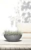 Výsadbový květináč Ecopots Vienna plastový Ø 50 cm V 18 cm Náhled obrázku produktu 11