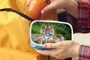 KitchenYeah® Lunchbox Box na svačinu 17x11 cm Tygr - Náhled obrázku produktu 4