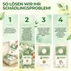 Encarsia Schlupfwespen gegen weiße Fliegen, 3 Karten für 15 Produktbild-Vorschau 3