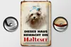 Blechschild Hund 20x30cm dieses Haus bewacht ein Malteser Produktbild-Vorschau 3