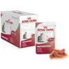 A box of Royal Canin cat food pouches and a single pouch with some food pieces. Produktbild-Vorschau