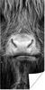MuchoWow® Poster Schottischer Highlander - Haare - Tiere Produktbild-Vorschau 1