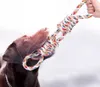 EDIBAZZAR | Anello di dentizione in corda per cani, grande, Anteprima dell’immagine prodotto 17