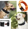 Hundehalsband mit Kontrollgriff, Produktbild-Vorschau 2