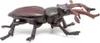 Papo Wild Life Cervo volante 50281 Anteprima dell’immagine prodotto 2