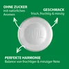 VIVIL Johannisbeere-Minze Pastillen ohne Zucker | 3er Pack Produktbild-Vorschau 5