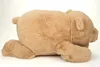 A plush toy bear lying on its side on a white background. Produktbild-Vorschau