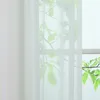 Gardinen Vorhänge Voile Gardine Transparent Dekoschal Uni Produktbild-Vorschau 5
