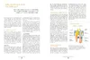 Die Bewegungs-Docs - Unser Programm für mehr Gesundheit und Produktbild-Vorschau 7
