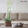 KOTARBAU® Sada 6 podpěr pro rostliny zelená PVC 58 cm Náhled obrázku produktu 7