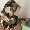 Hundespielzeug Set Unzerstörbar Interaktiv Ziehspielzeug Produktbild-Vorschau 3