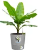 Runder Blumentopf, 15 l – 29,5 x 29,5 x 29,1 cm (Höhe) – Produktbild-Vorschau 3