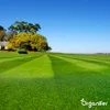 Topdressing Trawników – Mieszanka z Mykoryzą i Podgląd zdjęcia produktu 10