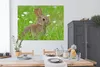 MuchoWow® Poster Kaninchen - Blumen - Gras 160x120 cm - Produktbild-Vorschau 4
