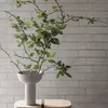 Blomus Blumenvase Miyabi, vase décoratif, vase, faïence, Voir les images du produit 5