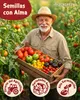 ZenGreens® Semillas Eco de Tomate – Set 20 Variedades de Vista previa de la imagen del producto 2