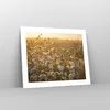 Poster - Poster ohne Rahmen - Baumwolle Feld Acker - 50x40 Produktbild-Vorschau 7