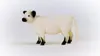 schleich 13960, 3 lat(a), Czarny, Biały, Plastik Podgląd zdjęcia produktu 2