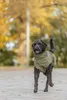 TRIXIE Hundemantel Minot - olivgrün Produktbild-Vorschau 6