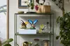 Insectenverzameling - LEGO Ideas 21342 Productafbeelding-voorbeeld 12