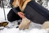 Ruffwear Hundejacke Cloud Chaser™ Soft Shell Jacket Aurora Produktbild-Vorschau 8