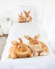 Herding Bettwäsche mit Kaninchen 135 x 200cm 100%Baumwolle Produktbild-Vorschau 2