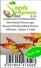 20x Sternwinde Feuerzunge Quamoclit Mina lobata Garten Produktbild-Vorschau 3