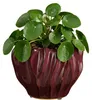 Mica Decorations Pflanzen-/Blumentopf Thom - bordeauxrot - Produktbild-Vorschau 2