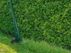 PARKSIDE  Elektro Rasentrimmer »PRT 300 -- 300 Watt mit Produktbild-Vorschau 9