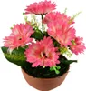 Gerberas rose 7 fleurs dans un bol en terre cuite Ø22/ 24 Voir les images du produit 1
