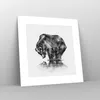 Poster - Poster ohne Rahmen - Bär Tier - 30x30 cm - Wand Produktbild-Vorschau 7