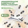 Green Guardia Speckkäfer Falle mit Spezial-Lockstoff - 6x Produktbild-Vorschau 4