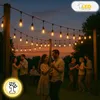 Ghirlanda luminosa da giardino 20 m x 20 lampadine E27 IP65 Anteprima dell’immagine prodotto 4