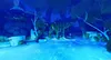 Nintendo Games Switch The Smurfs 2 The Prisoner Of The Produktbild-Vorschau 4