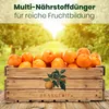 Meine Orangerie Zitruserde und mediterrane Pflanzenerde Produktbild-Vorschau 4
