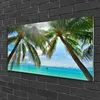 Acrylglasbilder 100x50 Wandbild Druck Palmen Meer Produktbild-Vorschau 2