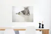 MuchoWow® Poster Gestreifte American Shorthair 80x60 cm - Produktbild-Vorschau 5