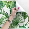 Coloray Fototapete 312x219 cm Latextapete Magicstick - Produktbild-Vorschau 3