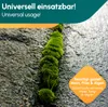 INOX® WegeClean, 10L - Reiniger Unkrautvernichter Wege Produktbild-Vorschau 5