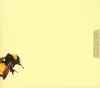 Tyler The Creator - Flower Boy (CD) Podgląd zdjęcia produktu 2