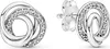 PANDORA Sieraden 291076C01 Productafbeelding-voorbeeld 1