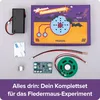 FRANZIS 67248 - Kontrola nietoperzy CheXperiment Podgląd zdjęcia produktu 4