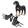 A stuffed dog wearing a black and gray orthopedic brace on its hind legs, with two similar braces laid out in the foreground. Podgląd zdjęcia produktu
