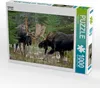 CALVENDO Puzzle Gefecht | 1000 Teile Lege-Größe 64x48cm Produktbild-Vorschau 1