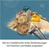 KOSMOS Fossilien Produktbild-Vorschau 6