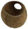 JBL Cocos Cava L natuurlijke kokosnoot schuilplaats voor Productafbeelding-voorbeeld 2
